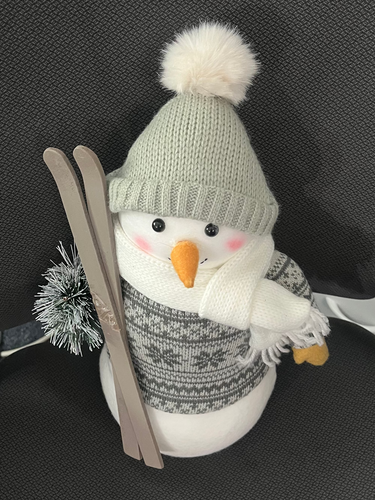 Cute Small Snowman Teddy