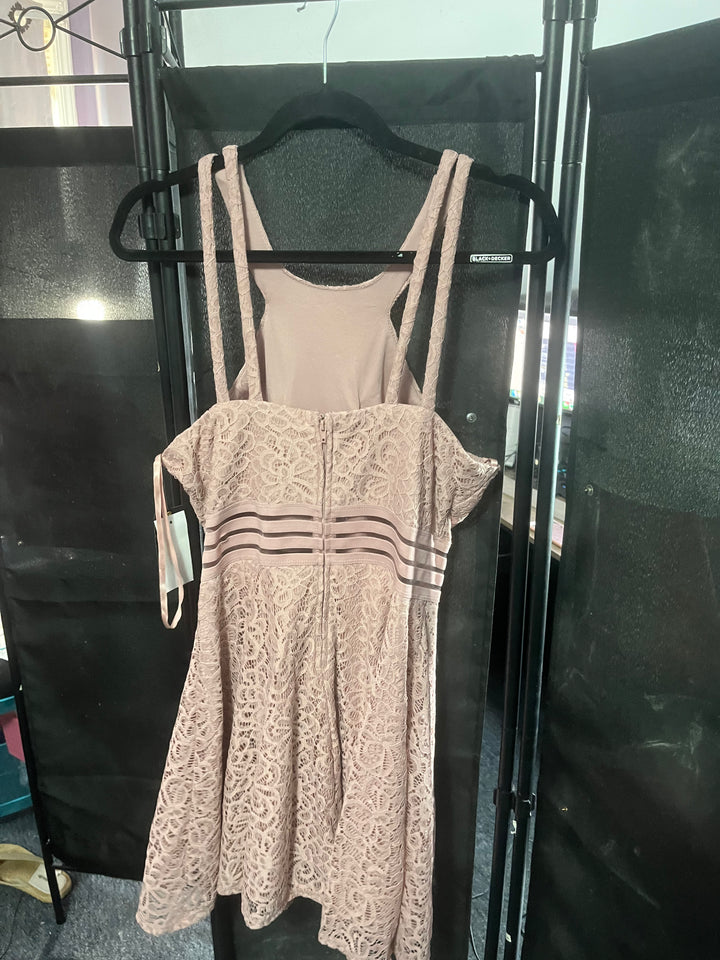 Blush Lace Fit & Flare Dress 🌸